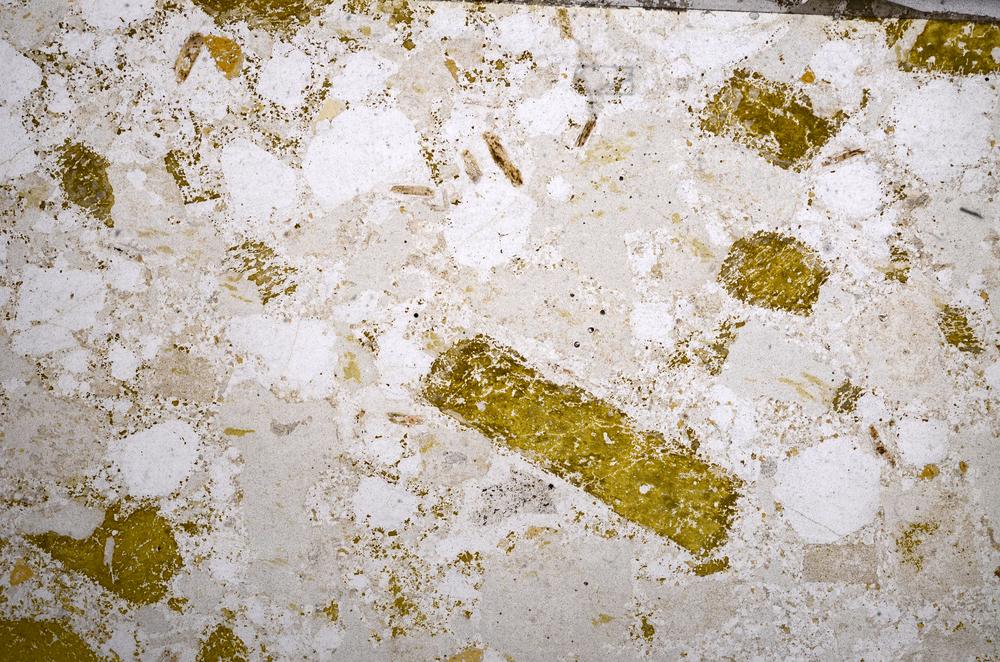 Plane Polarized, E59076