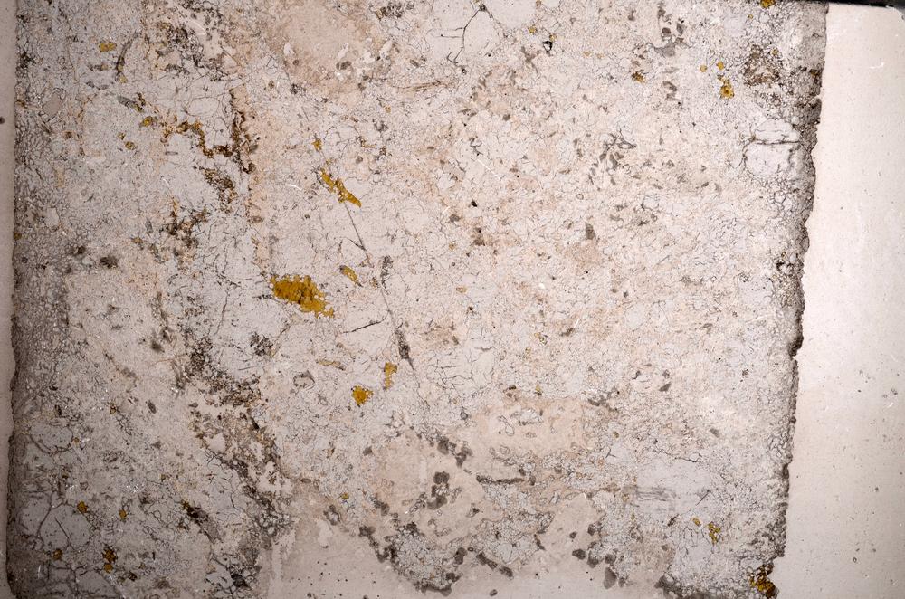 Plane Polarized, E59077