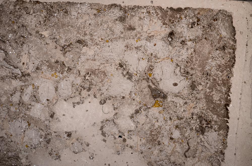 Plane Polarized, E59084/A