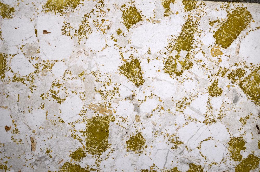 Plane Polarized, E59084/B