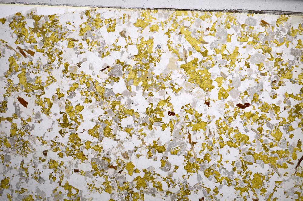 Plane Polarized, E59151