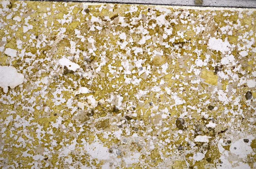 Plane Polarized, E59294