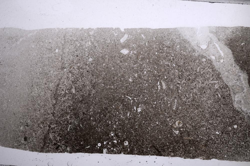 Plane Polarized, E59717