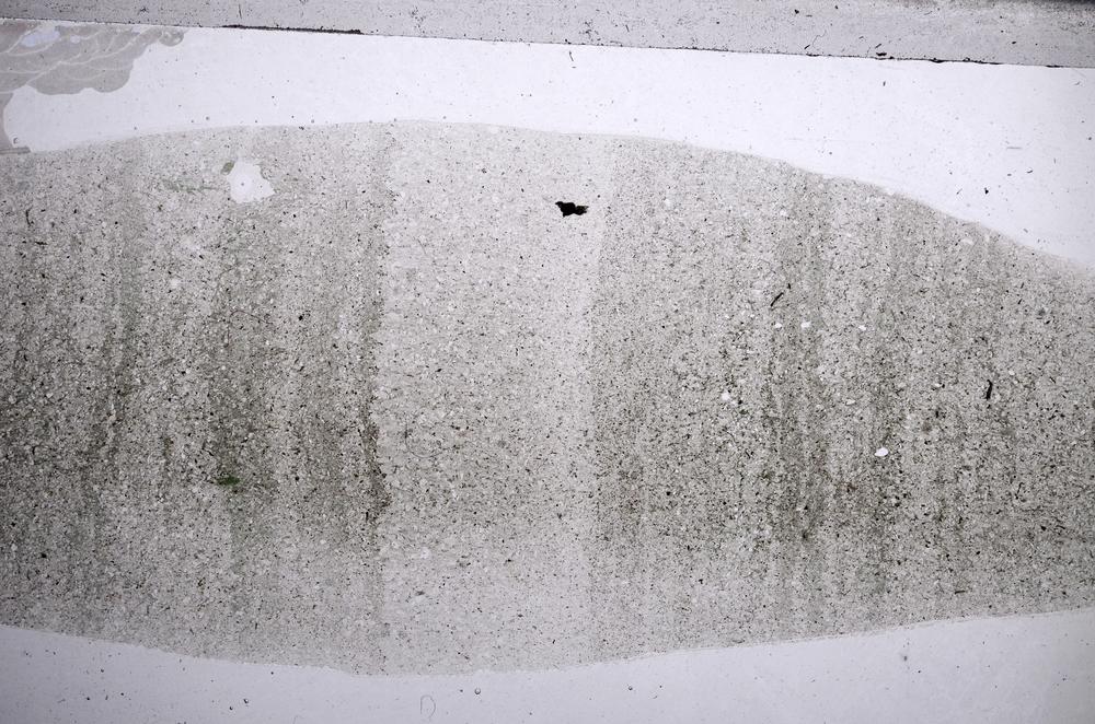 Plane Polarized, E59799