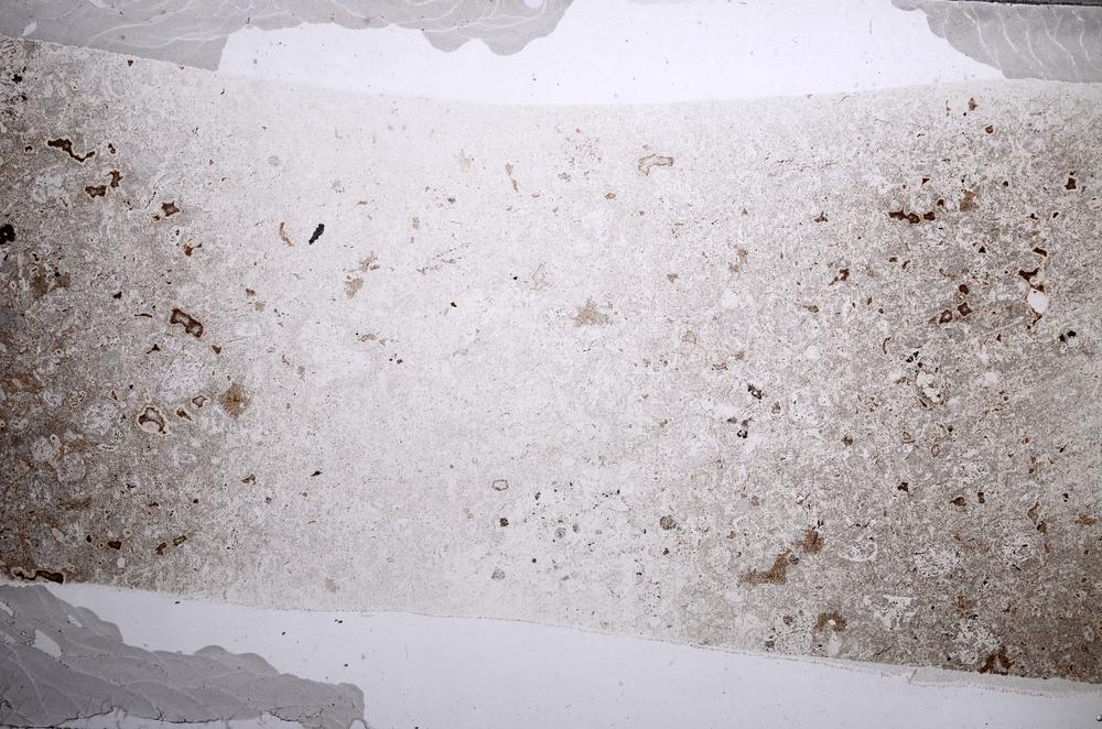 Plane Polarized, E59839