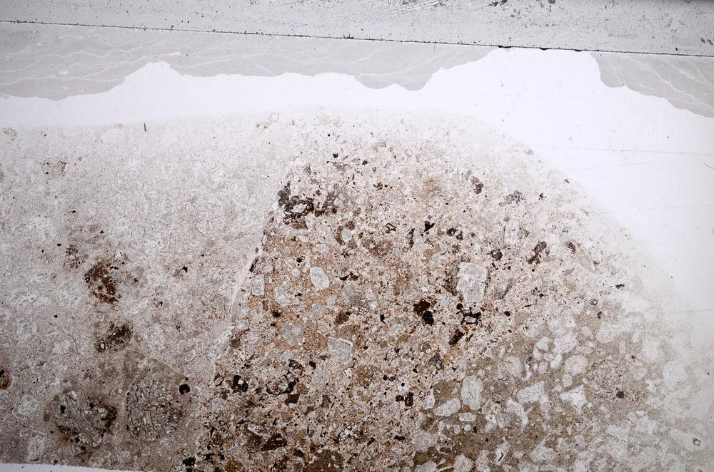 Plane Polarized, E59840