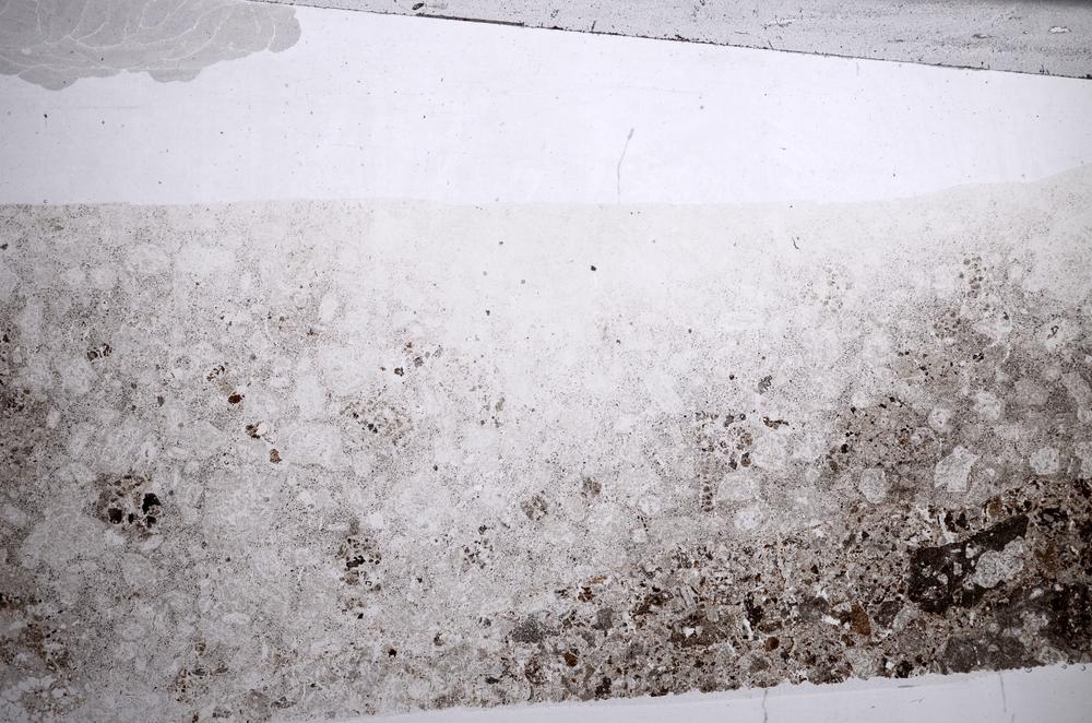 Plane Polarized, E59842