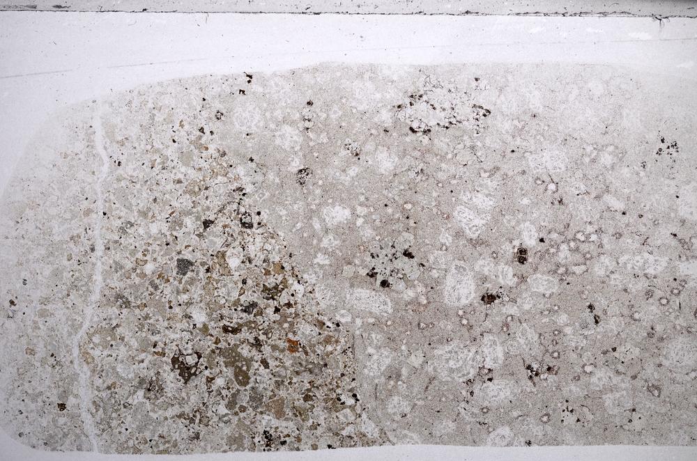 Plane Polarized, E59853