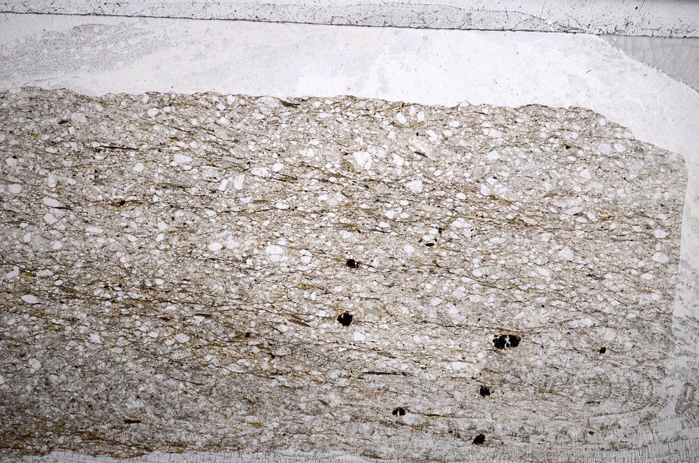 Plane Polarized, E59919