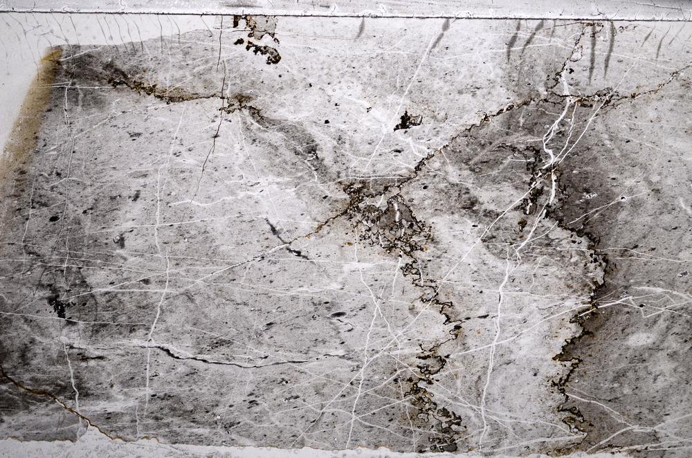 Plane Polarized, E59928