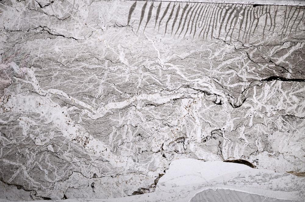 Plane Polarized, E59929