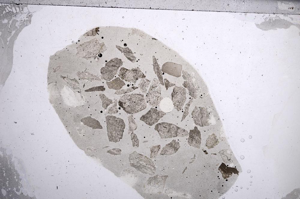 Plane Polarized, E60181