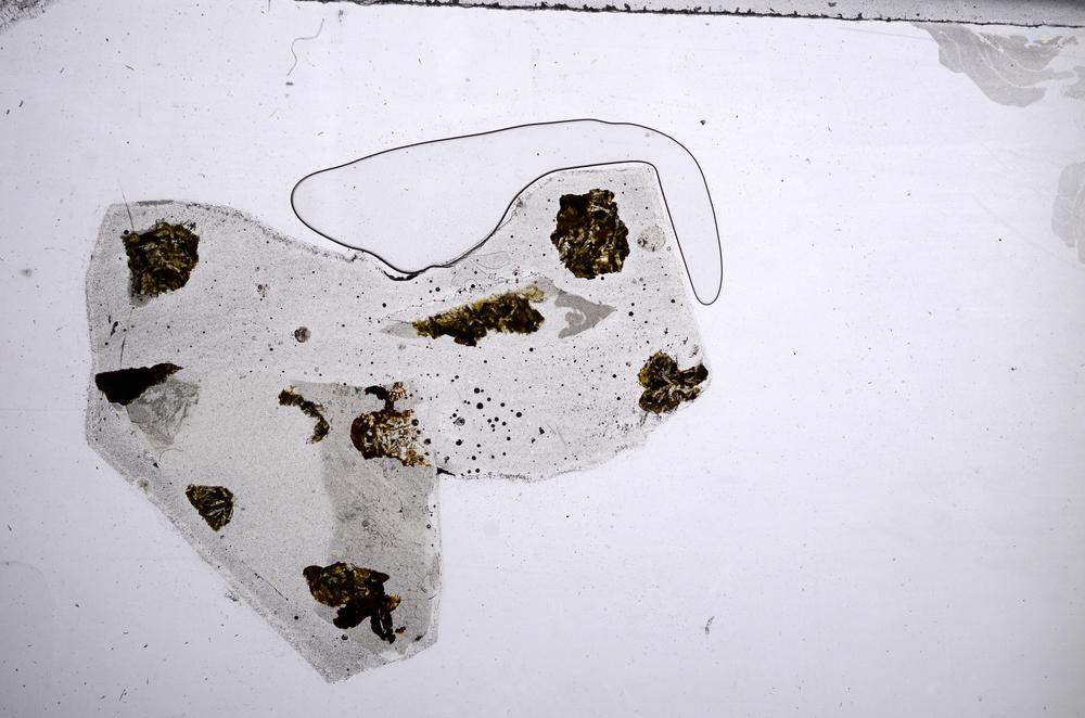 Plane Polarized, E60220