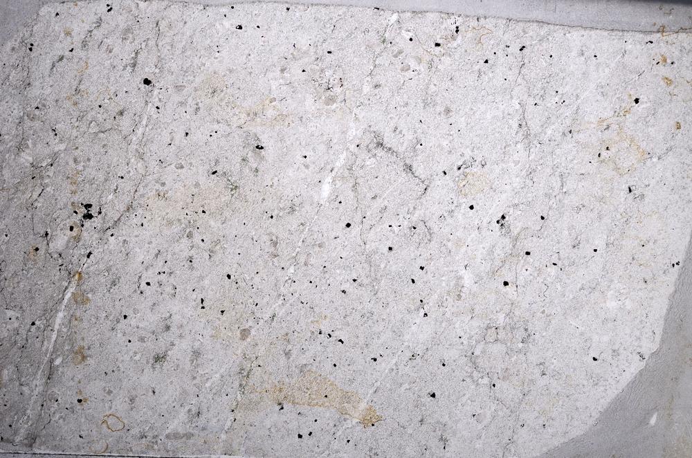 Plane Polarized, E60445