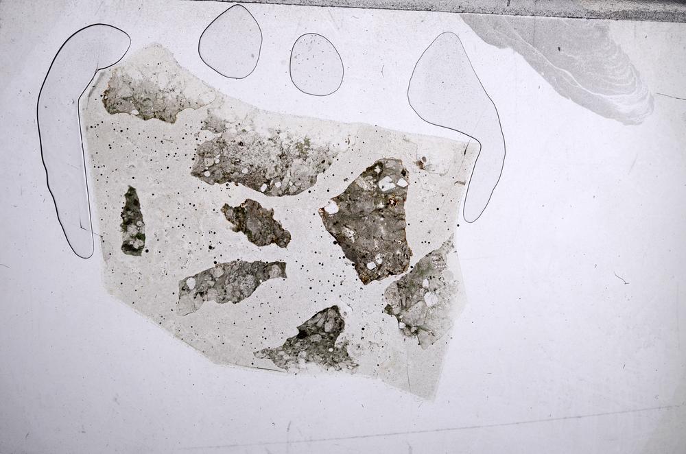 Plane Polarized, E60446