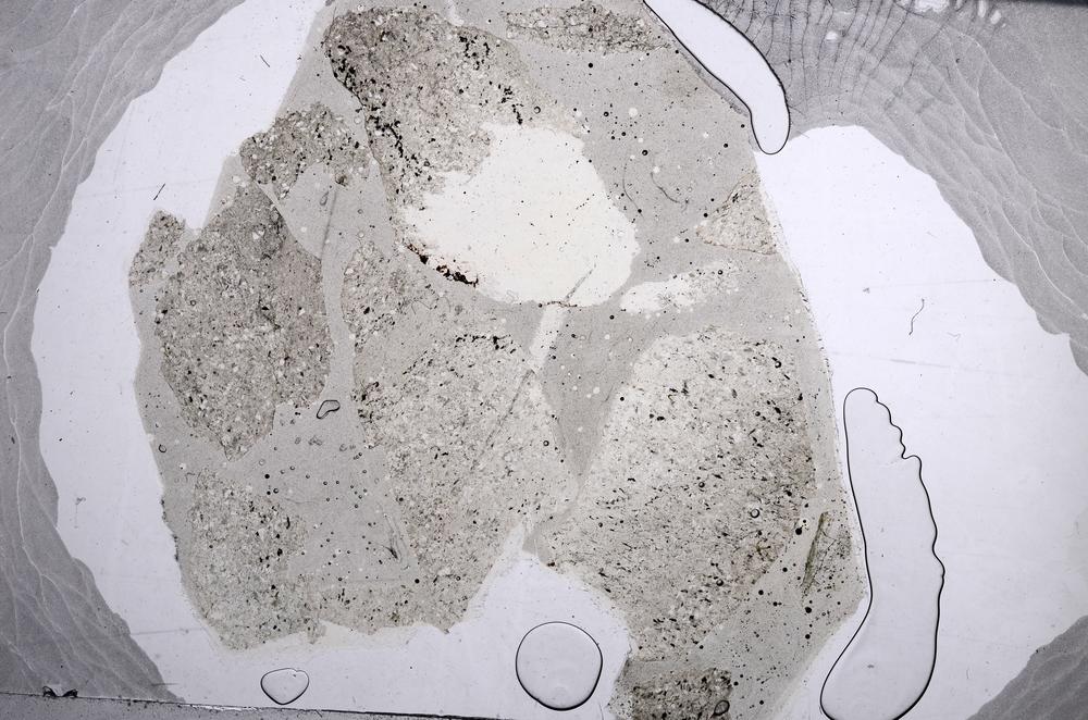 Plane Polarized, E60450