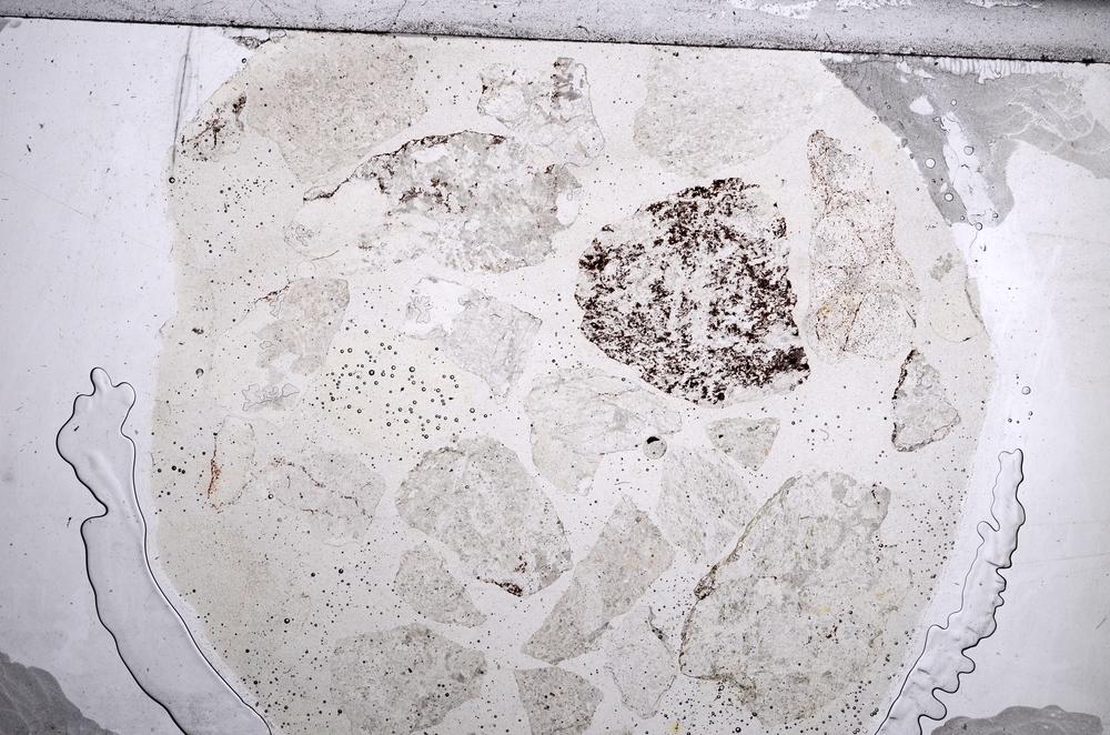 Plane Polarized, E60454