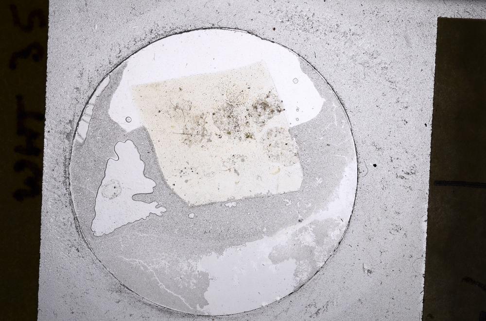 Plane Polarized, E60782