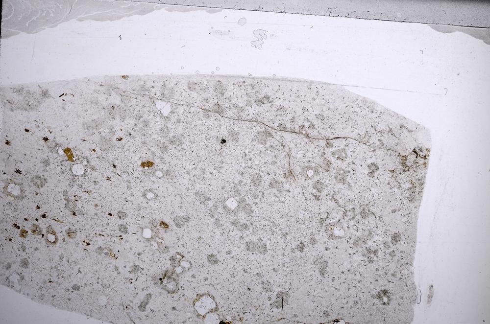 Plane Polarized, E60855/C