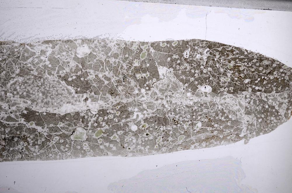 Plane Polarized, E60858