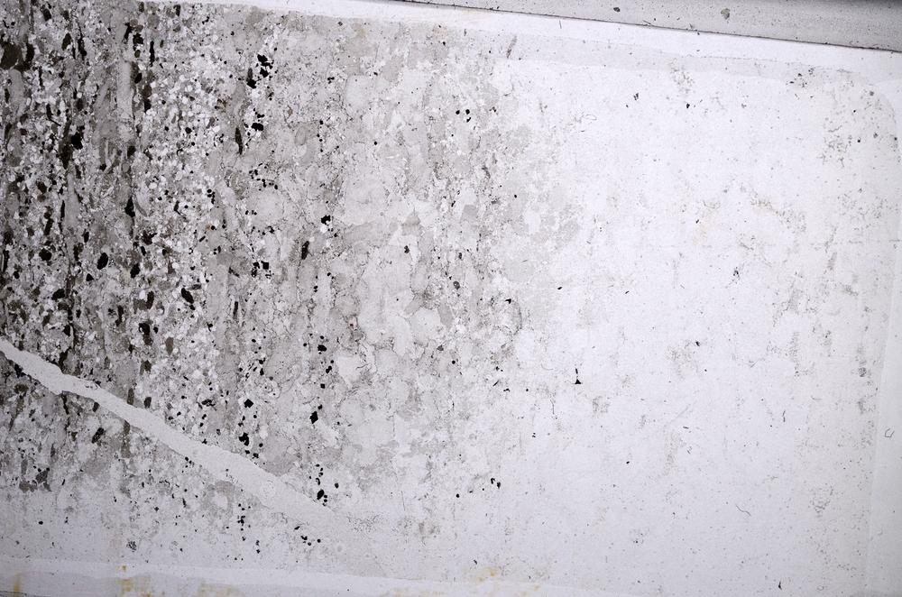 Plane Polarized, E60983