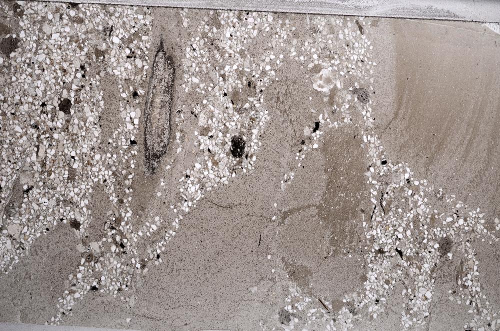 Plane Polarized, E61154