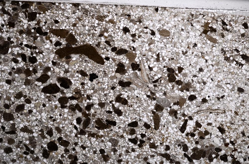 Plane Polarized, E61156