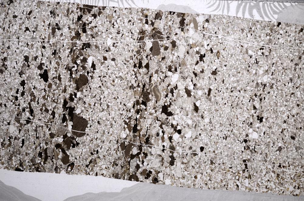 Plane Polarized, E61157