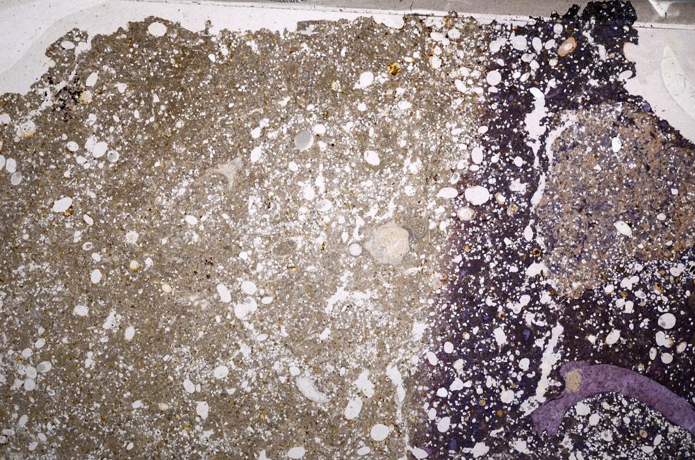 Plane Polarized, E61159