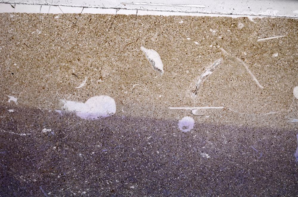 Plane Polarized, E61180