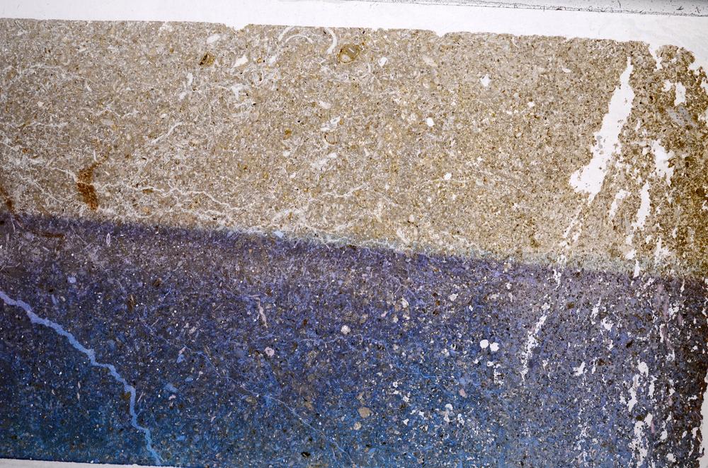 Plane Polarized, E61181