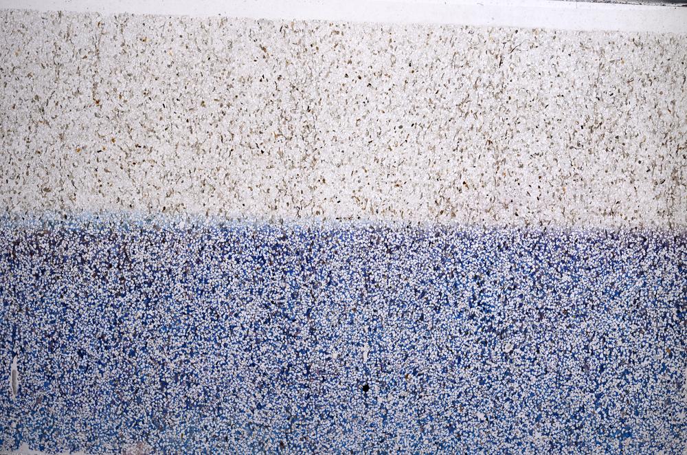 Plane Polarized, E61185