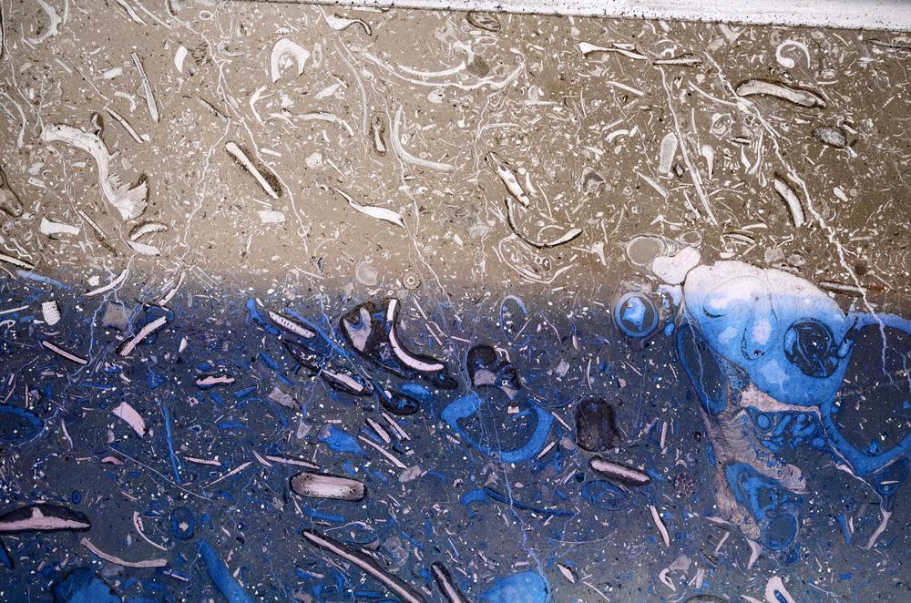 Plane Polarized, E61187