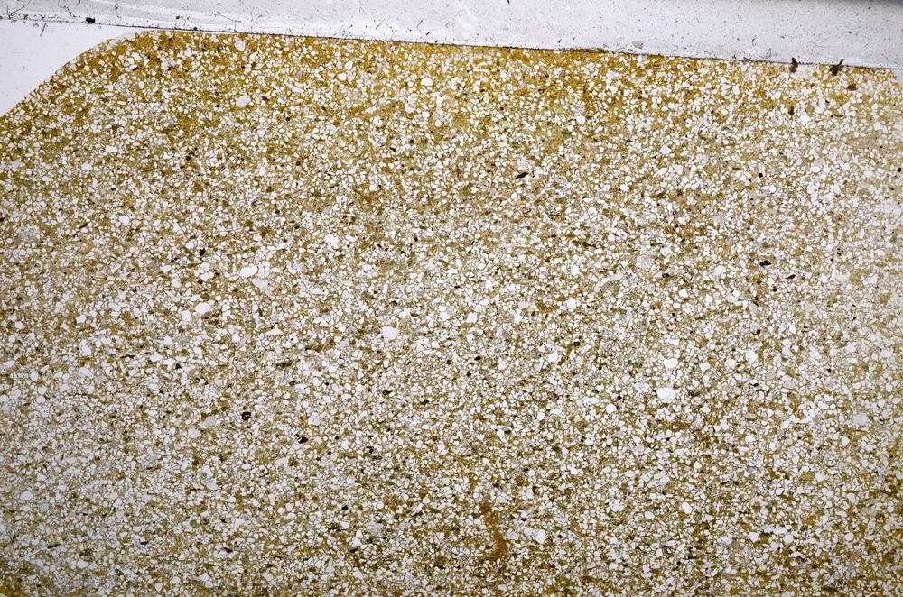 Plane Polarized, E61246