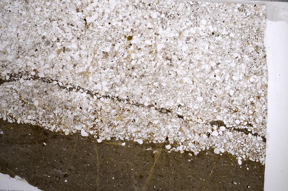 Plane Polarized, E61459