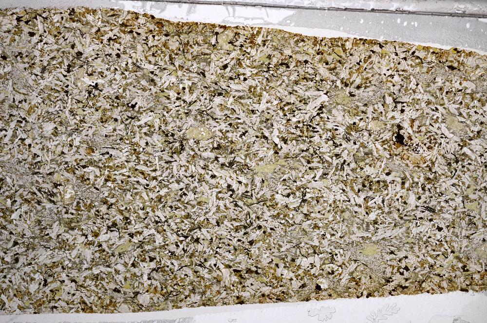 Plane Polarized, E61599