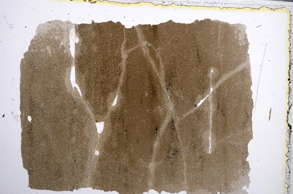 Plane Polarized, E61979