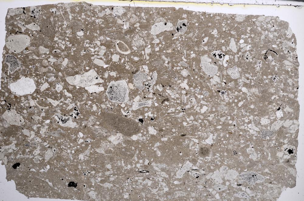 Plane Polarized, E61980