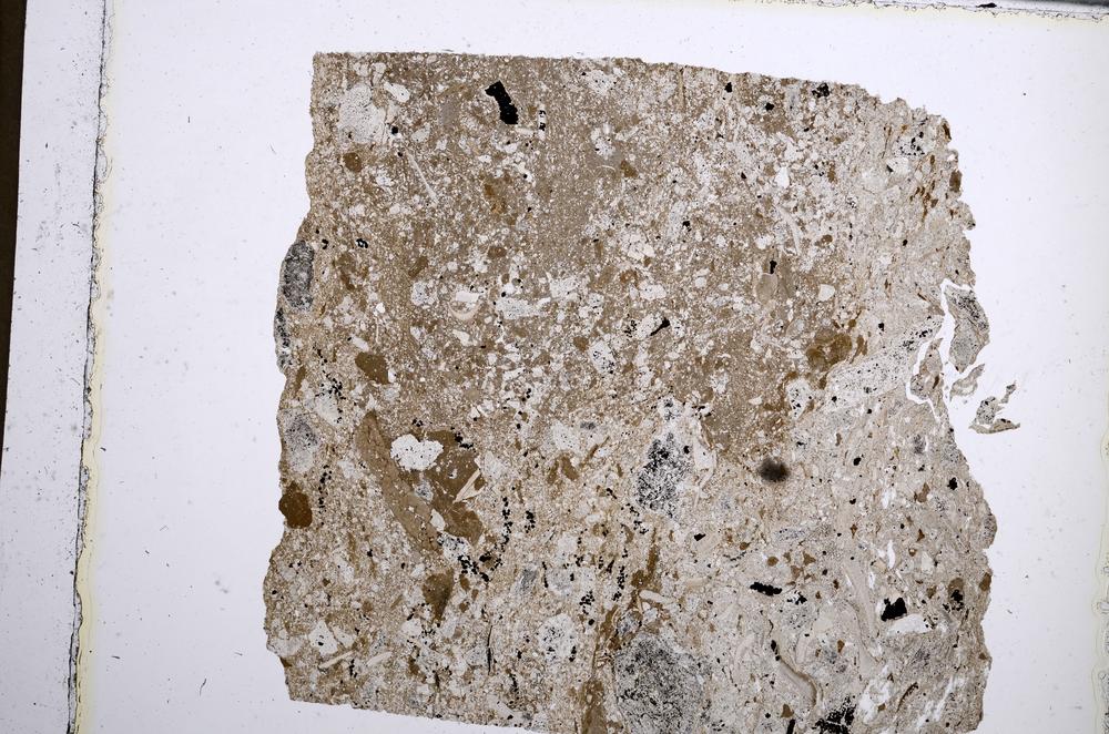 Plane Polarized, E61981