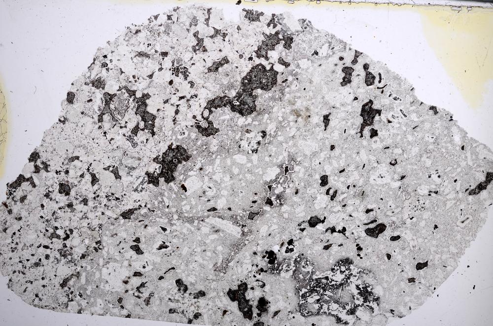 Plane Polarized, E61994/A