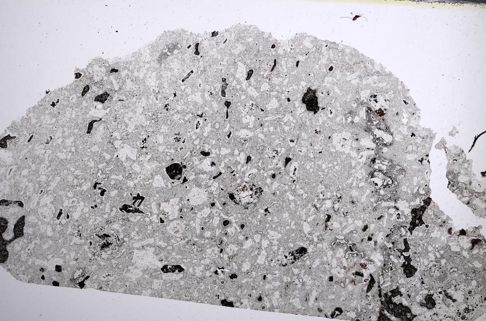 Plane Polarized, E61994/B