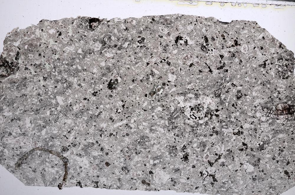 Plane Polarized, E61996/A