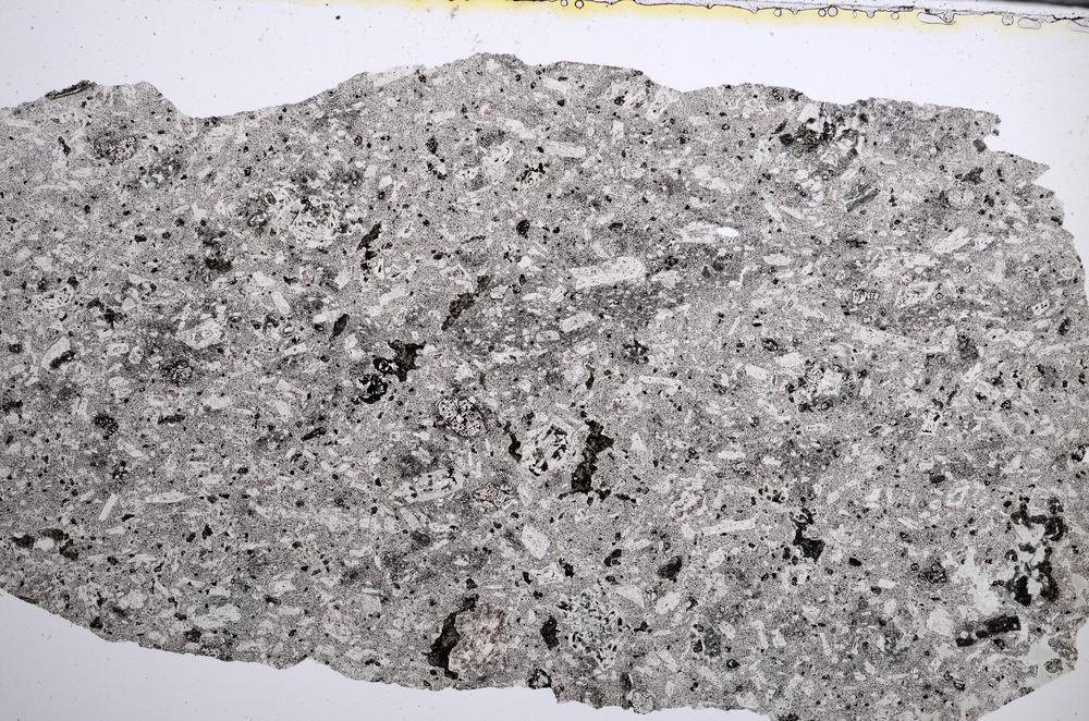 Plane Polarized, E61996/B