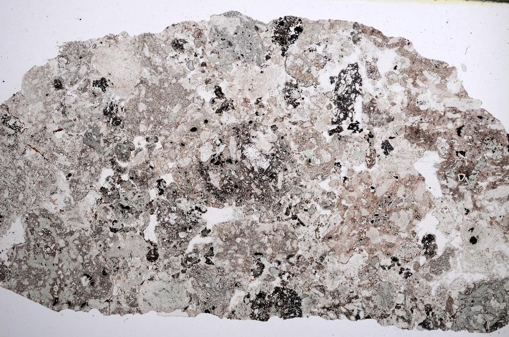 Plane Polarized, E61998/B