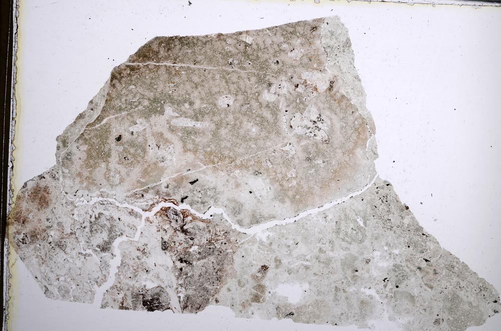 Plane Polarized, E62013/A