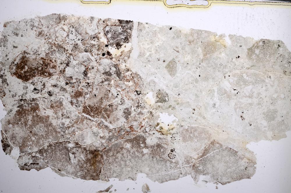 Plane Polarized, E62013/B