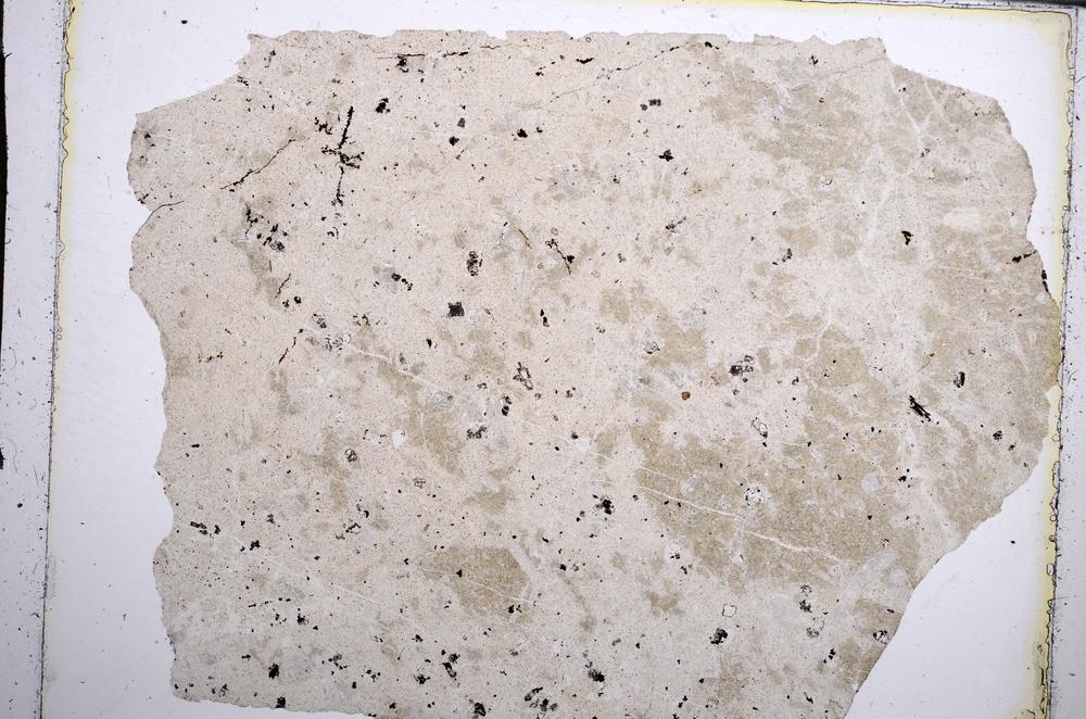 Plane Polarized, E62014/A