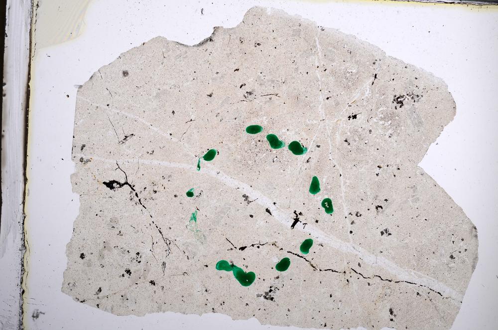 Plane Polarized, E62014/B