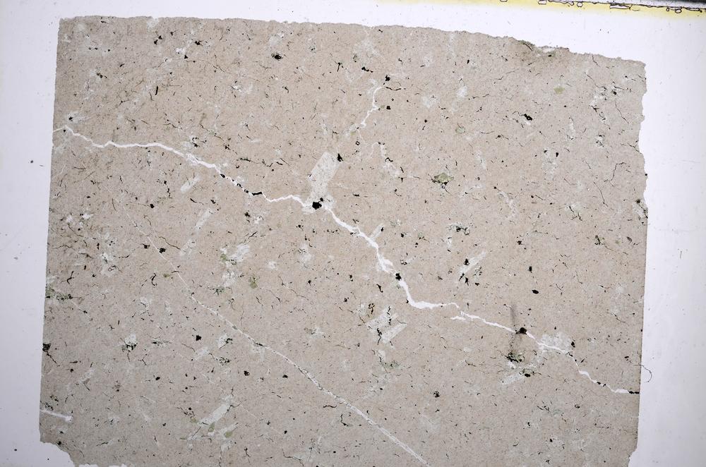 Plane Polarized, E62015/A