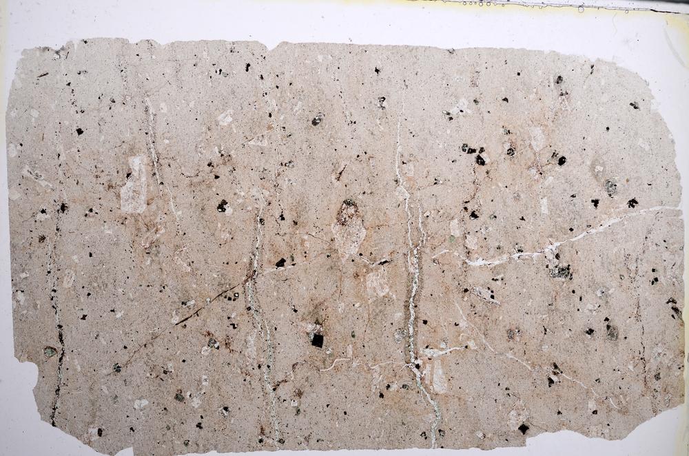 Plane Polarized, E62018/B